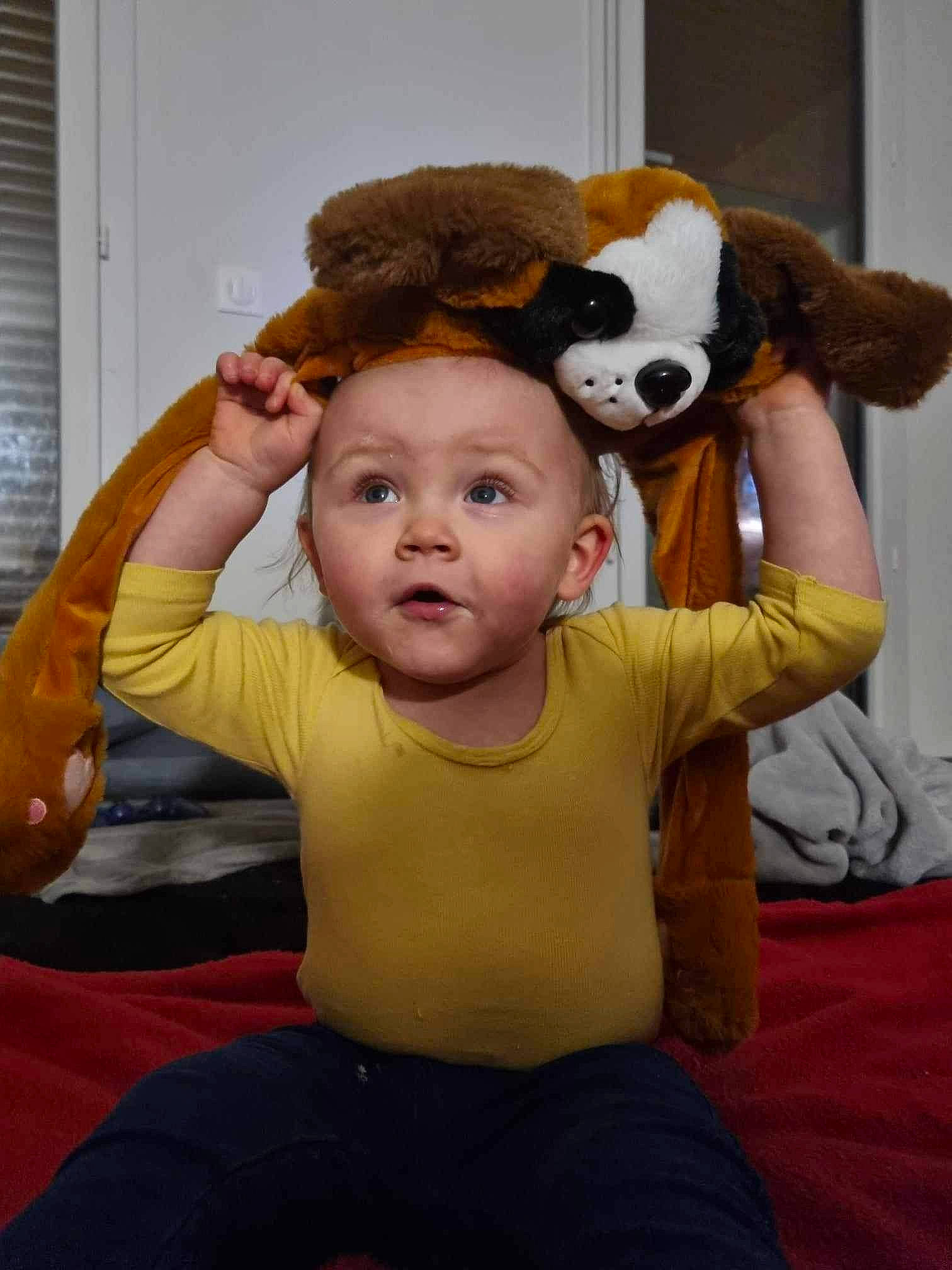 Stanyslas a rejoint le concours — aidez-le/la à gagner de superbes lots ! baby, baby_toddler_clothing, comfort, companion_dog, fawn, finger, flooring, fun, fur, gesture, happy, head, human_body, nose, person, stuffed_toy, surprise, t_shirt, thumb, toddler