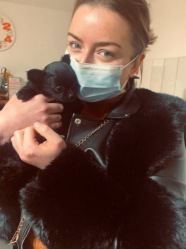 Sweetie a rejoint le concours — aidez-le/la à gagner de superbes lots ! carnivore, cat, cool, ear, eye, eyebrow, eyewear, felidae, gesture, glove, hair, head, headgear, iris, neck, organ, personal_protective_equipment, sleeve, small_to_medium_sized_cats, vision_care