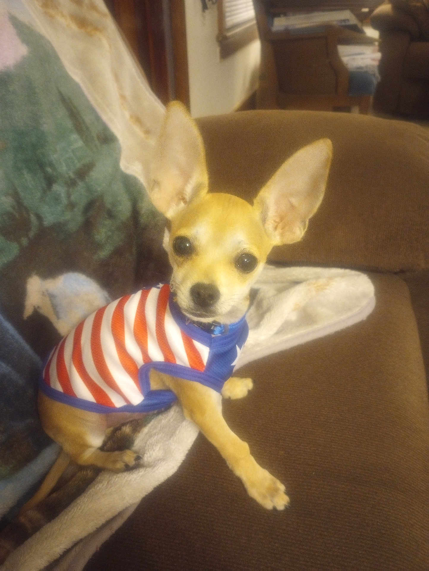 Gunner