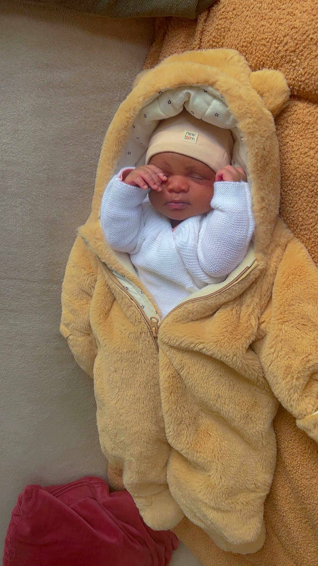 Abigaelle participe au concours pour gagner de l'argent avec cette photo : newborn, baby, infant, sleeping, onesie, bear_costume, hat, blanket, soft_texture, cozy, cute, child, indoor, resting, face, hands, clothing, warm, toddler, person