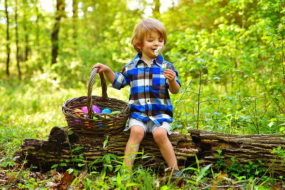 Nikolai is registered to the contest to win money with this photo: basket, electric_blue, forest, fun, grass, happy, joy, leaf, leisure, natural_landscape, pattern, people_in_nature, person, plant, recreation, smile, soil, sunlight, toddler, tree