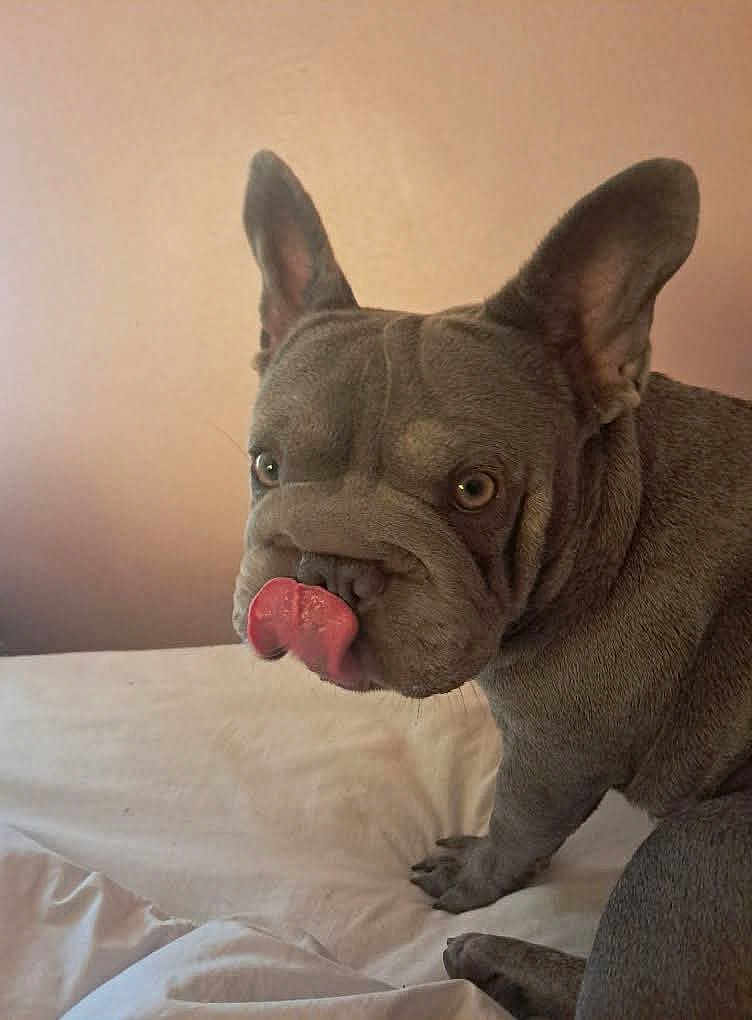 Lola
