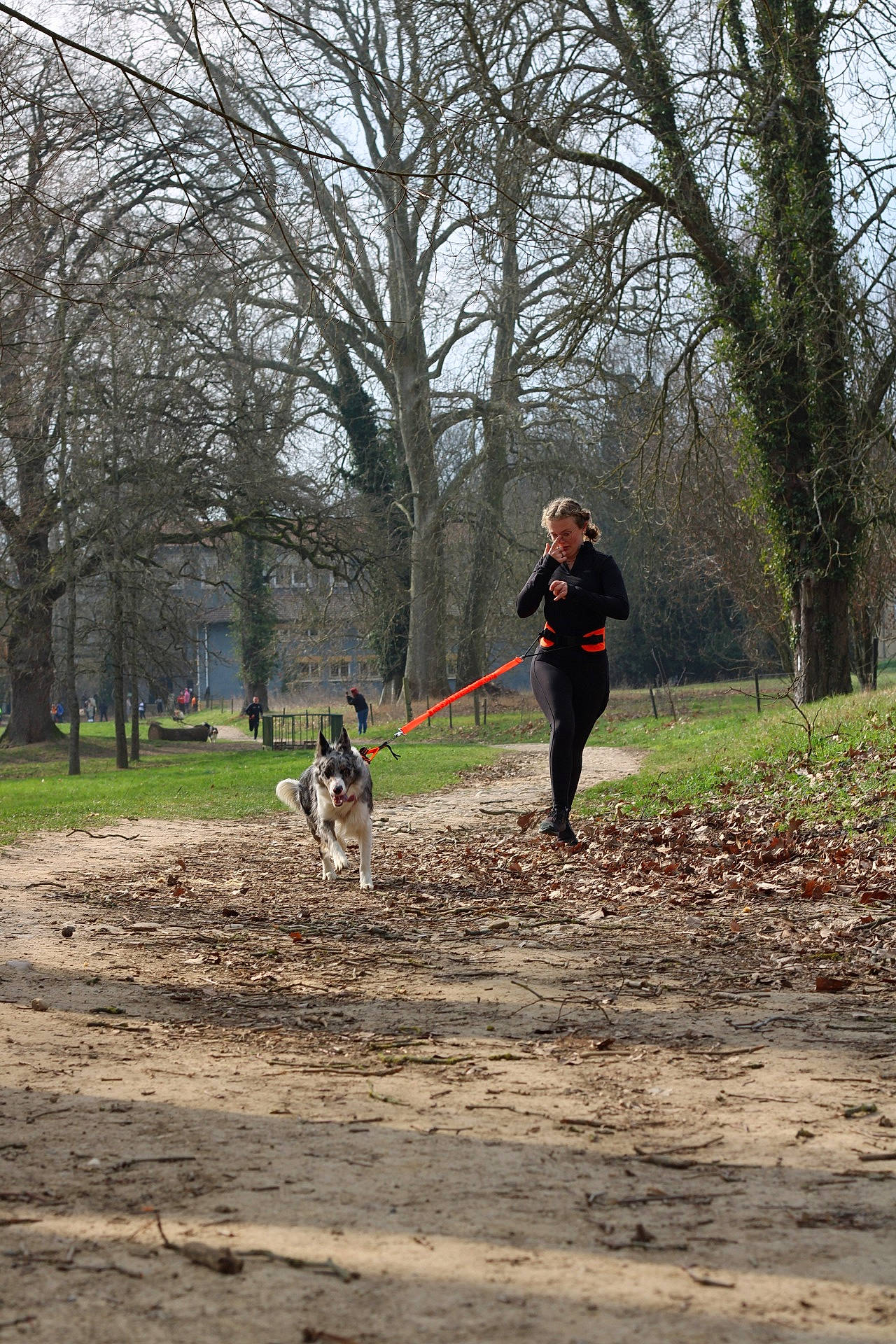 Toby a rejoint le concours — aidez-le/la à gagner de superbes lots ! branch, carnivore, endurance_sports, exercise, forest, grass, grassland, landscape, leisure, natural_landscape, outdoor_recreation, people_in_nature, plant, recreation, running, sports, trail, tree, wood, woody_plant