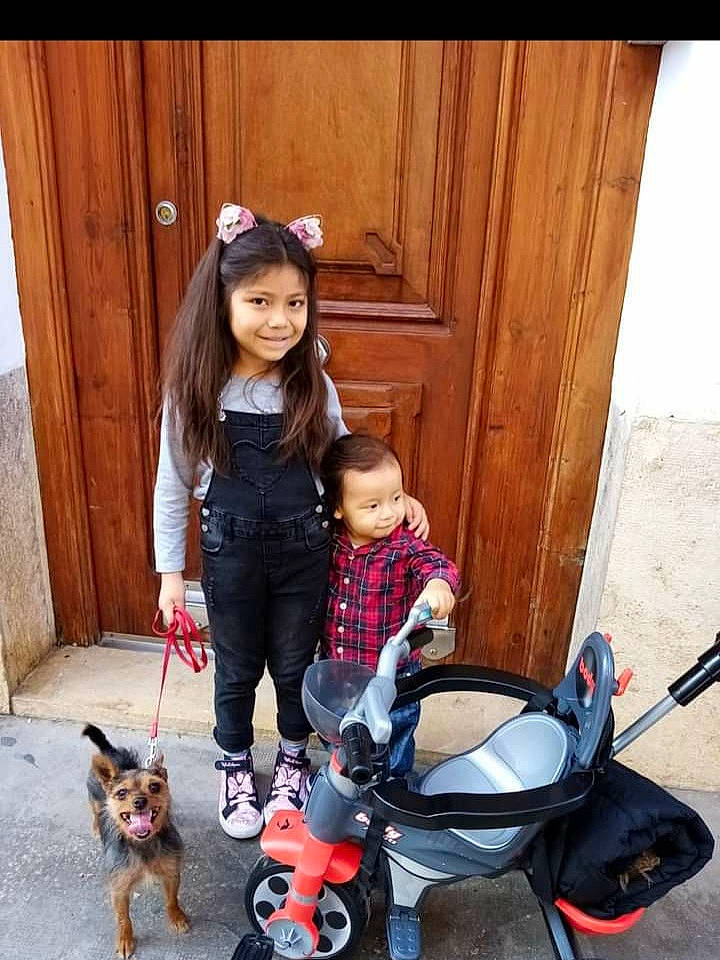 Valentina a rejoint le concours — aidez-le/la à gagner de superbes lots ! baby_carriage, baby_products, baby_toddler_clothing, carnivore, child, companion_dog, dog, dog_breed, dog_walking, door, human, joy, leash, mammal, nose, person, pet_supply, product, sporting_group, toddler