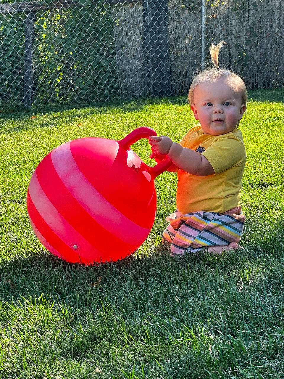 Jemma joined the competition — help win amazing prizes! baby, baby_toddler_clothing, backyard, child, fence, fun, garden, grass, happy, lawn, leisure, people_in_nature, person, plant, play, playing_with_kids, recreation, sitting, toddler, toy