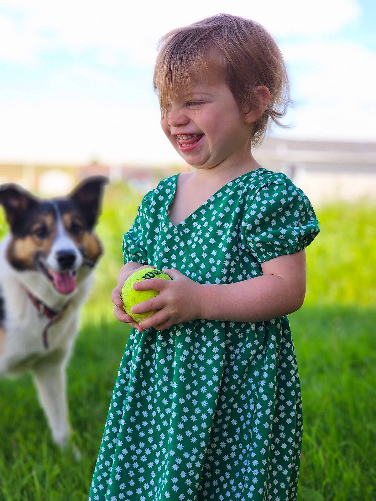 Alena is registered to the contest to win money with this photo: baby_toddler_clothing, carnivore, clothing, cloud, companion_dog, day_dress, dog, dog_breed, dress, fawn, fun, grass, green, happy, joy, people, people_in_nature, person, plant, sky