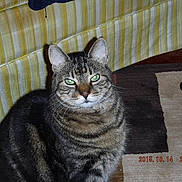 Mackie is registered to the contest to win money with this photo:
