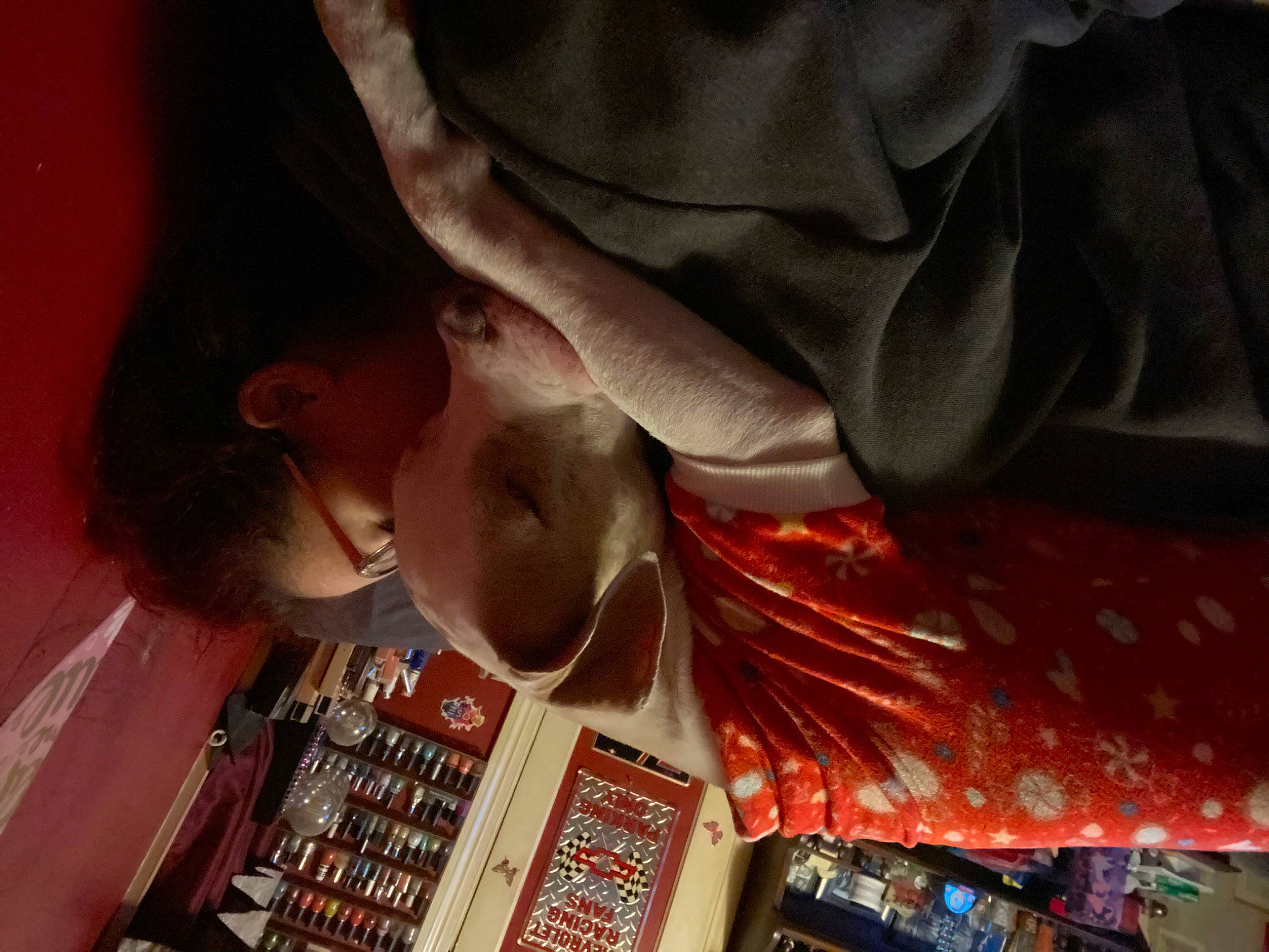 Copo is registered to the contest to win money with this photo: audio_equipment, carmine, dress, eyewear, flesh, fun, hair_coloring, human_body, human_leg, pattern, publication, room, shelf, temple, tree