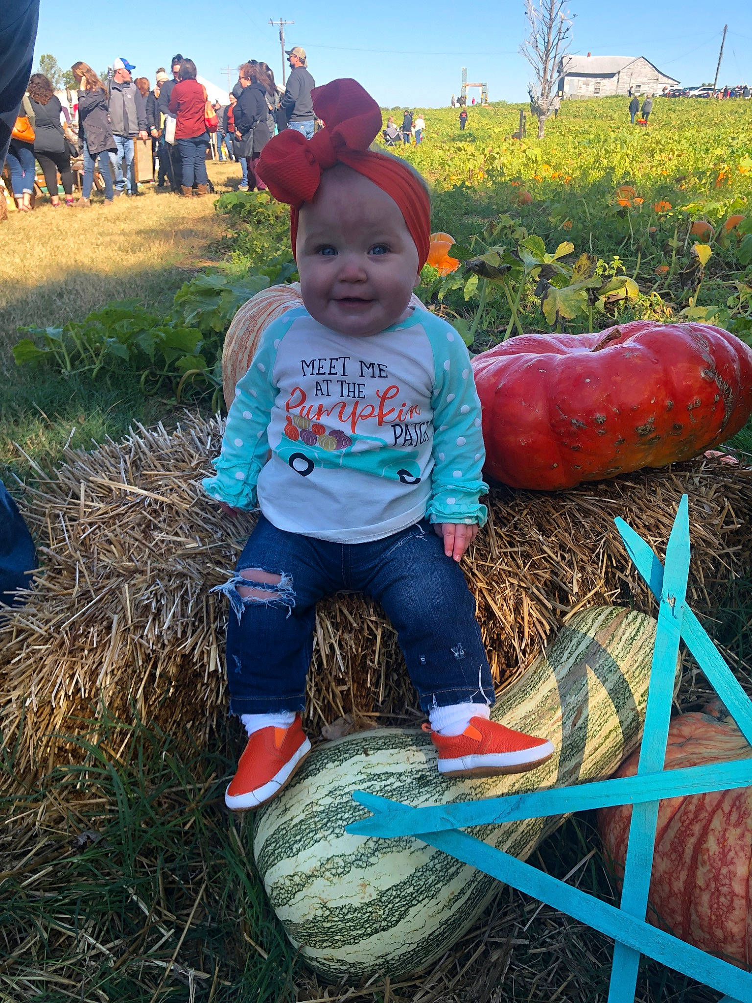 Waylynn is registered to the contest to win money with this photo: adaptation, calabaza, child, fun, grass, happy, mountain, person, plant, play, pumpkin, smile, toddler, tree, vegetable, winter_squash