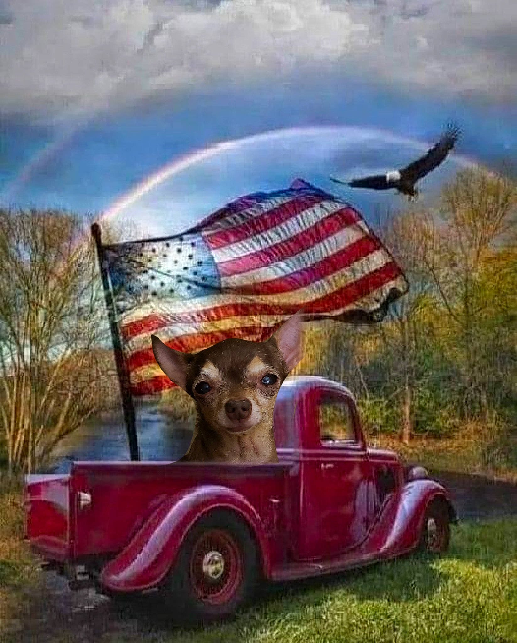 Nutnut is registered to the contest to win money with this photo: automotive_design, automotive_exterior, automotive_lighting, automotive_tire, automotive_wheel_system, bumper, car, cloud, fender, grass, headlamp, motor_vehicle, plant, rainbow, sky, tire, tree, vehicle, vehicle_door, wheel