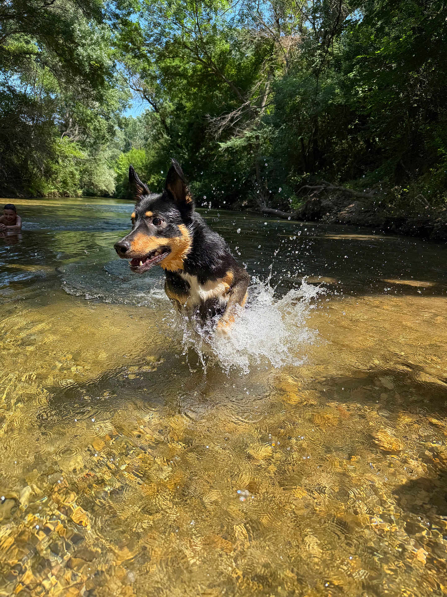 Darko