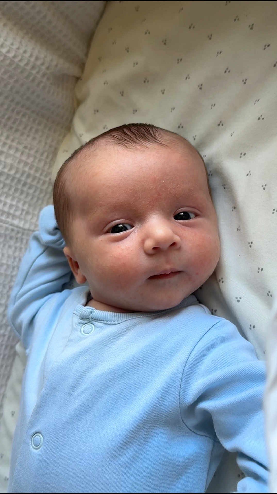 Luca is registered to the contest to win money with this photo: baby, infant, onesie, blue_clothing, bed, pillow, face, eyes, skin, head, newborn, child, portrait, lying_down, resting, cozy, soft_texture, pattern, indoors, cute