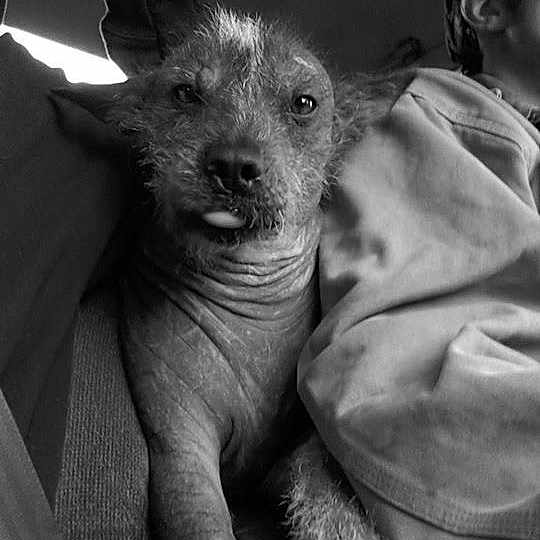 Lucy Lou