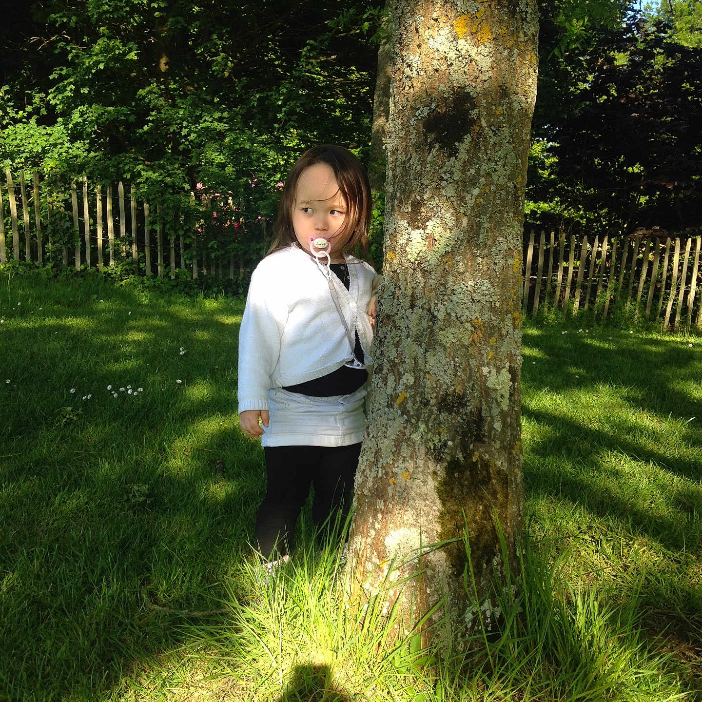 Illyana a rejoint le concours — aidez-le/la à gagner de superbes lots ! backyard, botany, flower, forest, garden, grass, green, jungle, lawn, leaf, nature, pond, shrub, sunlight, tree, woodland, woody_plant