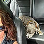 dog, sleeping, car_interior, leather_seat, orange_collar, person, sunglasses, hair, window, seatbelt, backseat, side_view, relaxed, pet, vehicle, casual, resting, brown_hair, closeup, daylight