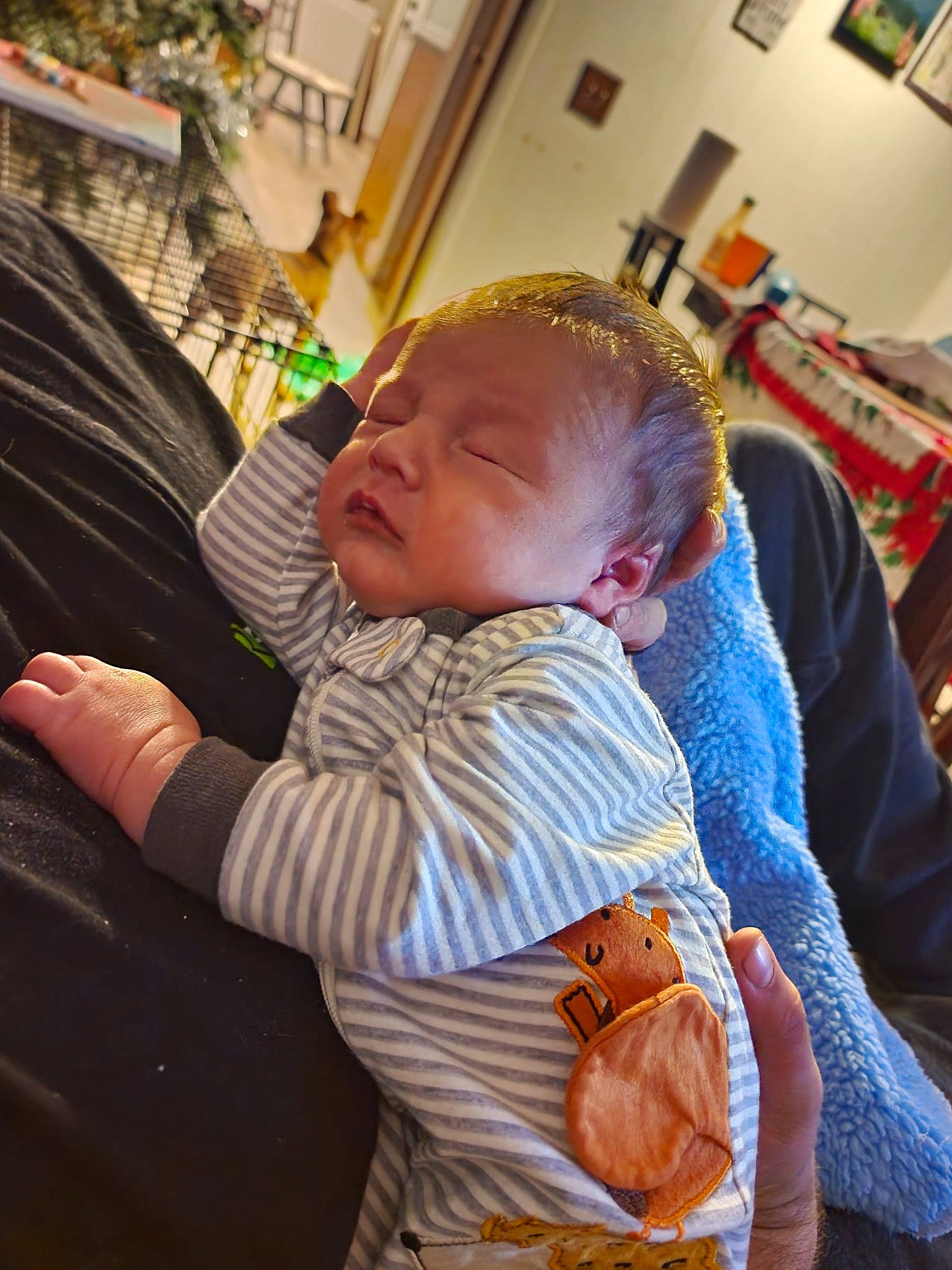 Michael is registered to the contest to win money with this photo: baby, baby_toddler_clothing, cheek, child, comfort, couch, event, fun, fur, happy, holiday, lap, leisure, person, picture_frame, plant, room, sitting, toddler, tree