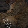 animal, blanket, brown_fur, cat, cozy, curled_up, ears, furry, heart_doodles, indoors, nap, paws, pet, portrait, resting, sleeping, sleepy, striped_fur, tabby_cat, whiskers