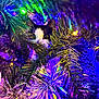 cat, christmas_tree, lights, branches, holiday, colorful, decorations, black_and_white, curious, peeking, festive, tinsel, greenery, indoors, animal, pet, closeup, nature, playful, bright