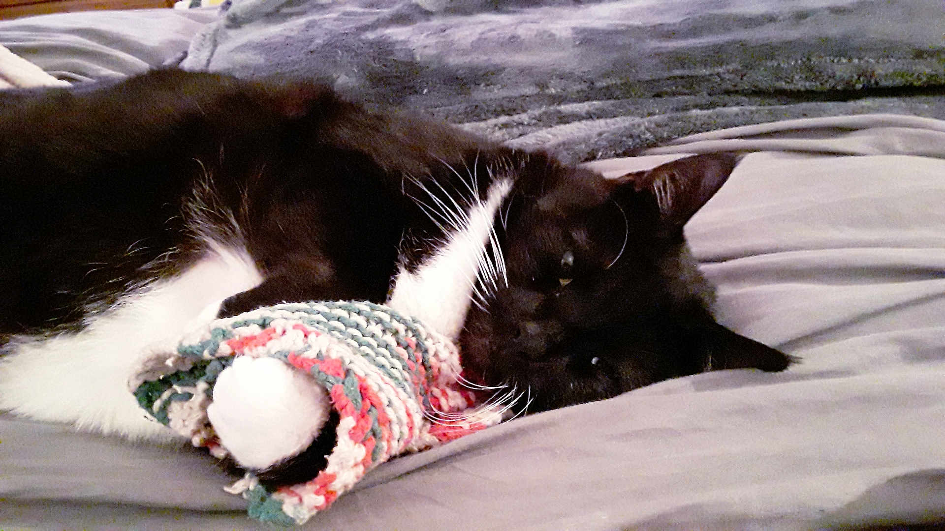 Socks