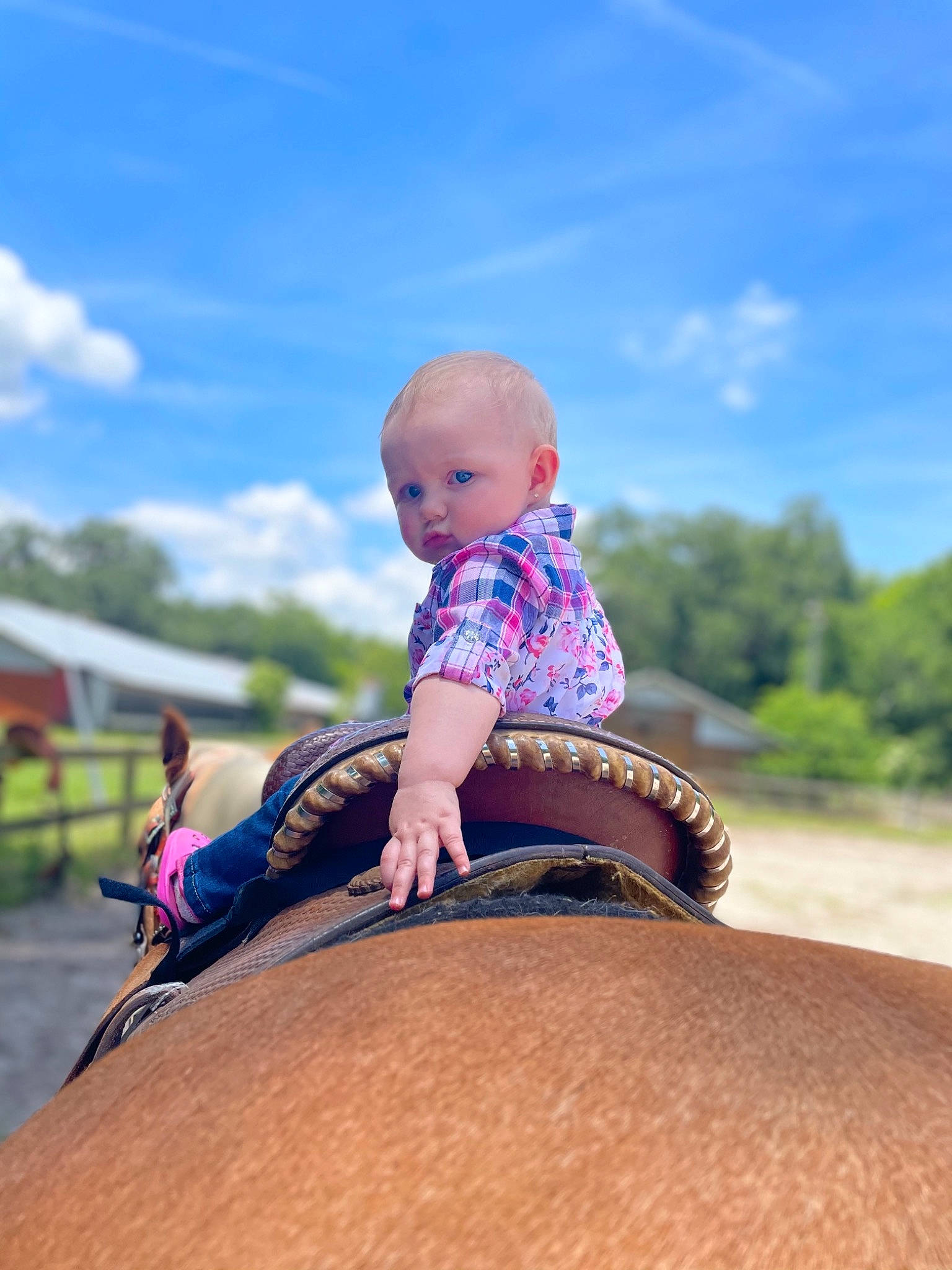 Kaisley is registered to the contest to win money with this photo: baby, baby_toddler_clothing, cloud, fawn, fun, grass, happy, hat, human_leg, landscape, leisure, people_in_nature, person, recreation, sitting, sky, soil, toddler, travel, tree