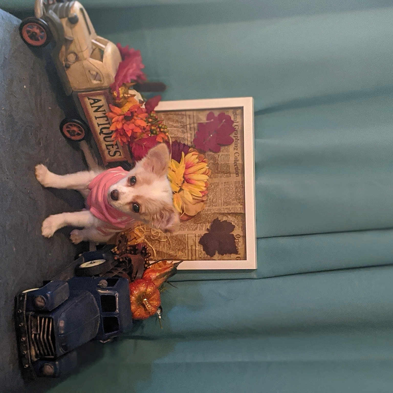 Bailey Ann is registered to the contest to win money with this photo: art, fawn, room, visual_arts