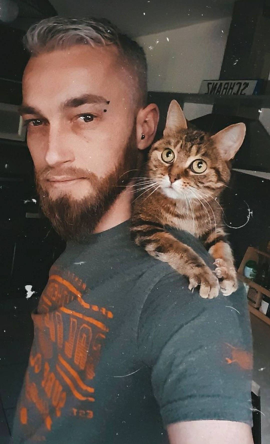 Duty a rejoint le concours — aidez-le/la à gagner de superbes lots ! beard, carnivore, cat, comfort, domestic_short_haired_cat, eyewear, facial_hair, felidae, fun, fur, jaw, lap, moustache, selfie, sitting, small_to_medium_sized_cats, t_shirt, whiskers