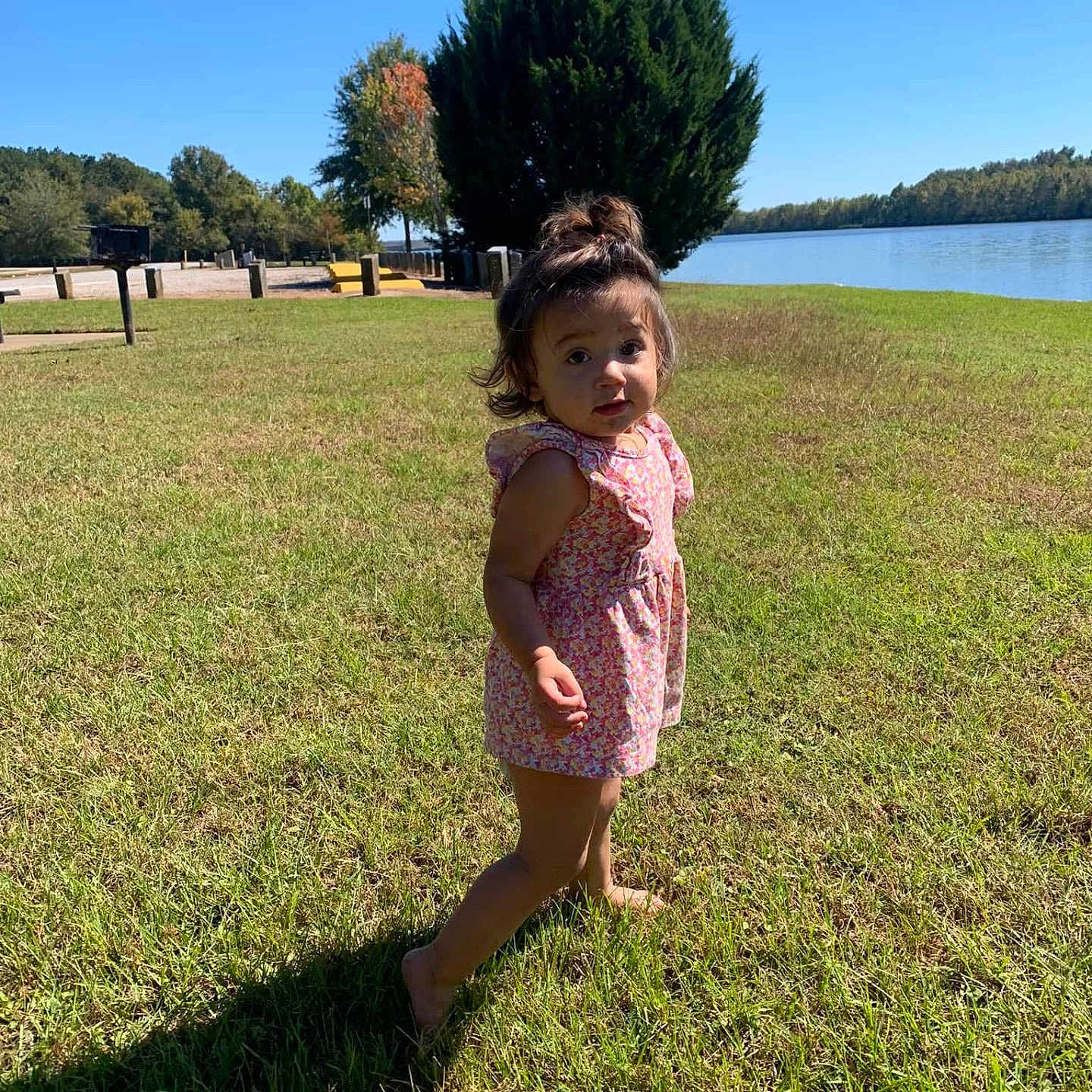 Lainey joined the competition — help win amazing prizes! child, clothing, dress, face, female, girl, grass, head, lake, nature, outdoors, park, person, photography, plant, portrait, scenery, summer, tree, water