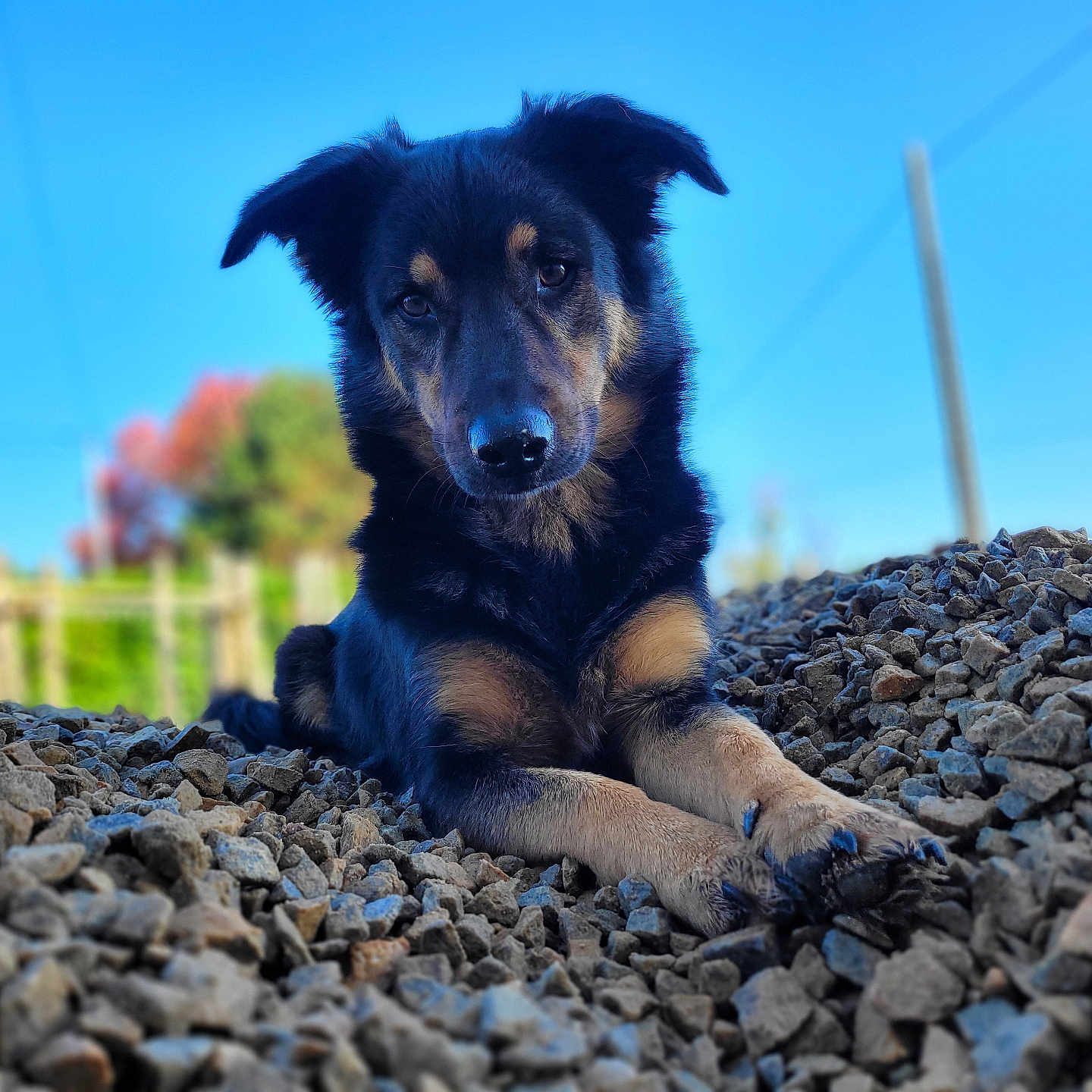 Porthos