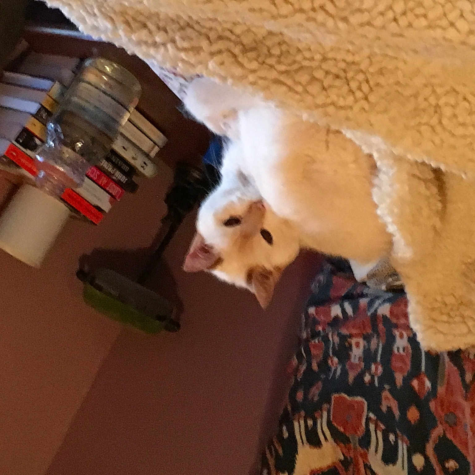 Benny