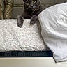 animal, bed, bedpost, cat, ceiling_fan_shadow, collar, curious, domestic_animal, floral_sheet, furniture, gray_cat, green_eyes, indoor, looking, mattress, paws, pet, pillow, resting, whiskers