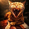 cat, feline, yawn, fangs, whiskers, fur, paw, striped, orange, cozy, blanket, indoor, closeup, portrait, animal, pet, resting, warm_light, dust_particles, texture