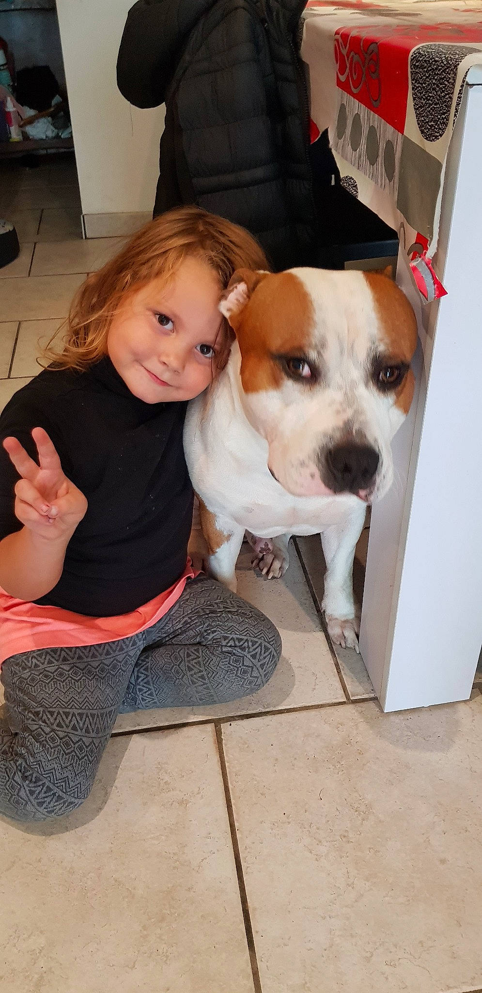 Iron a rejoint le concours — aidez-le/la à gagner de superbes lots ! american_pit_bull_terrier, boston_terrier, carnivoran, child, companion_dog, dog, dog_breed, dog_breed_group, dog_like_mammal, ear, girl, joy, mammal, person, puppy, puppy_love, skin, snout, vertebrate