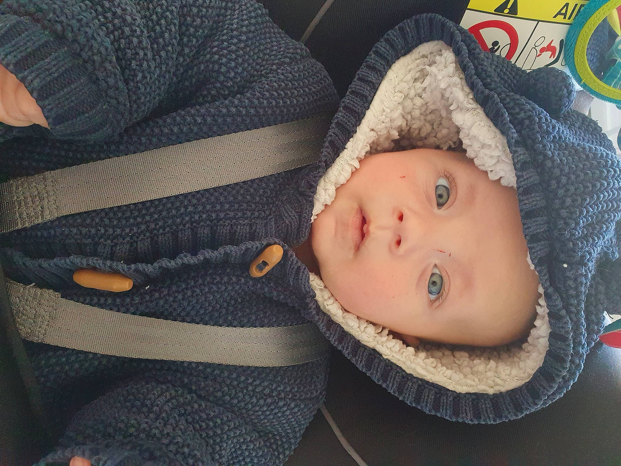 Korben participe au concours pour gagner de l'argent avec cette photo : baby, baby_products, baby_toddler_clothing, beanie, cap, cheek, child, comfort, eye, eyelash, fur, hat, headwear, jacket, knit_cap, linens, nose, person, toddler, tree
