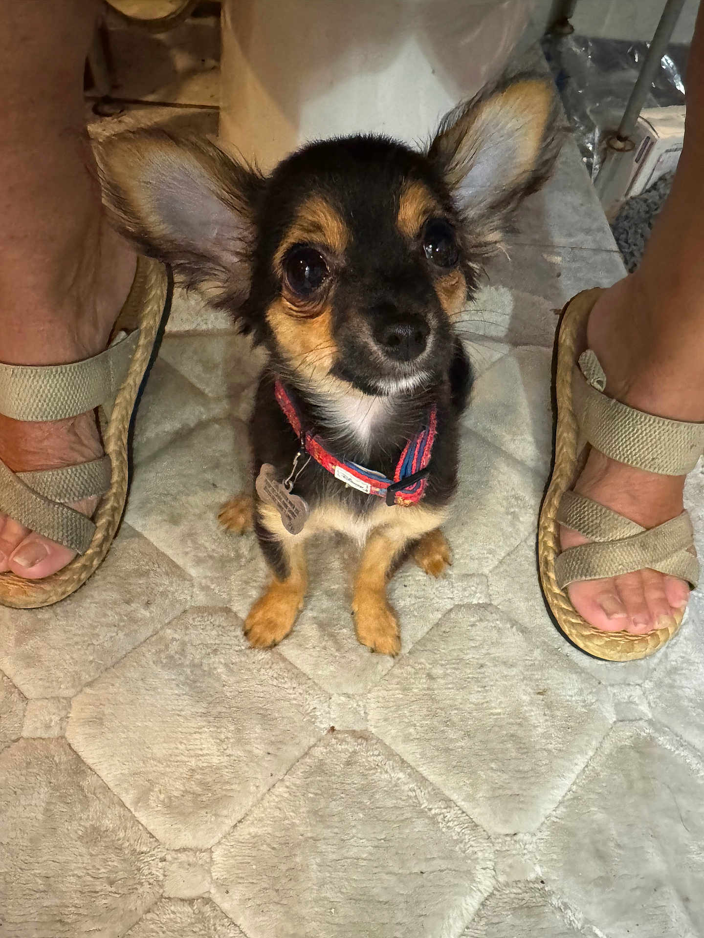 Lucy