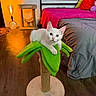 kitten, white_cat, cat_perch, green, leaf_shaped, bedroom, bed, pink_blanket, red_pillow, cat_tree, lamp, wooden_floor, window, night, indoor, pet, cute, feline, looking_at_camera, cozy