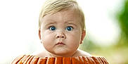 Michael is registered to the contest to win money with this photo: baby, child, pumpkin, face, blue_eyes, blonde_hair, curious, outdoor, nature, fall, autumn, cute, closeup, portrait, expression, skin, head, young, innocent, seasonal