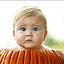 baby, child, pumpkin, face, blue_eyes, blonde_hair, curious, outdoor, nature, fall, autumn, cute, closeup, portrait, expression, skin, head, young, innocent, seasonal