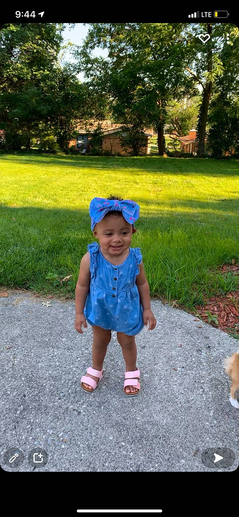 Lynette joined the competition — help win amazing prizes! asphalt, baby_toddler_clothing, cap, electric_blue, fun, grass, grass_family, happy, hat, joy, lawn, leisure, morning, people, people_in_nature, person, plant, recreation, summer, sun_hat