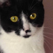 Millie joined the competition — help win amazing prizes!