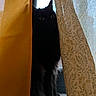 cat, black_cat, curtains, window, windowsill, indoor, pet, animal, feline, curious, shadow, yellow_curtain, floral_curtain, light, daylight, sitting, ears, whiskers, furry, closeup