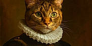 Mona a rejoint le concours — aidez-le/la à gagner de superbes lots ! cat, tabby, portrait, costume, ruffled_collar, renaissance_style, clothing, animal_portrait, feline, brown, green_eyes, soft_lighting, dark_background, majestic, detailed_texture, historical_style, animal, pet, artistic, indoor