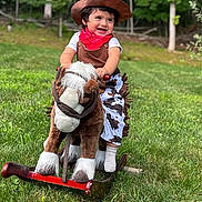 Damian is registered to the contest to win money with this photo: toddler, child, cowboy, rocking_horse, plush_toy, hat, bandana, outdoor, grass, greenery, costume, smiling, happy, play, toy, nature, daylight, cute, fun, portrait