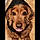 Nala
