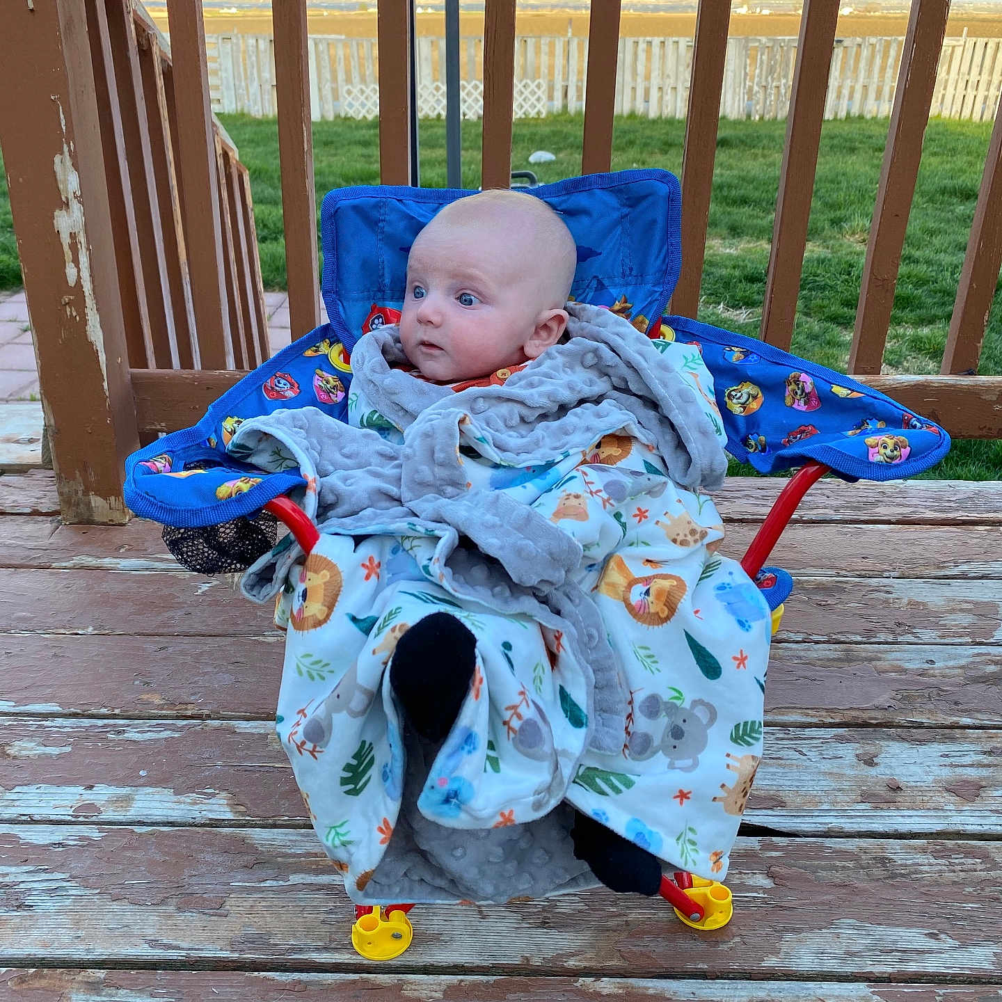 Adam is registered to the contest to win money with this photo: architecture, baby, backyard, blanket, building, face, furniture, grass, head, house, housing, nature, outdoors, person, photography, plant, porch, portrait, quilt, shelter