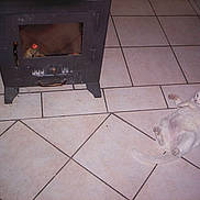 Morganne a rejoint le concours — aidez-le/la à gagner de superbes lots !