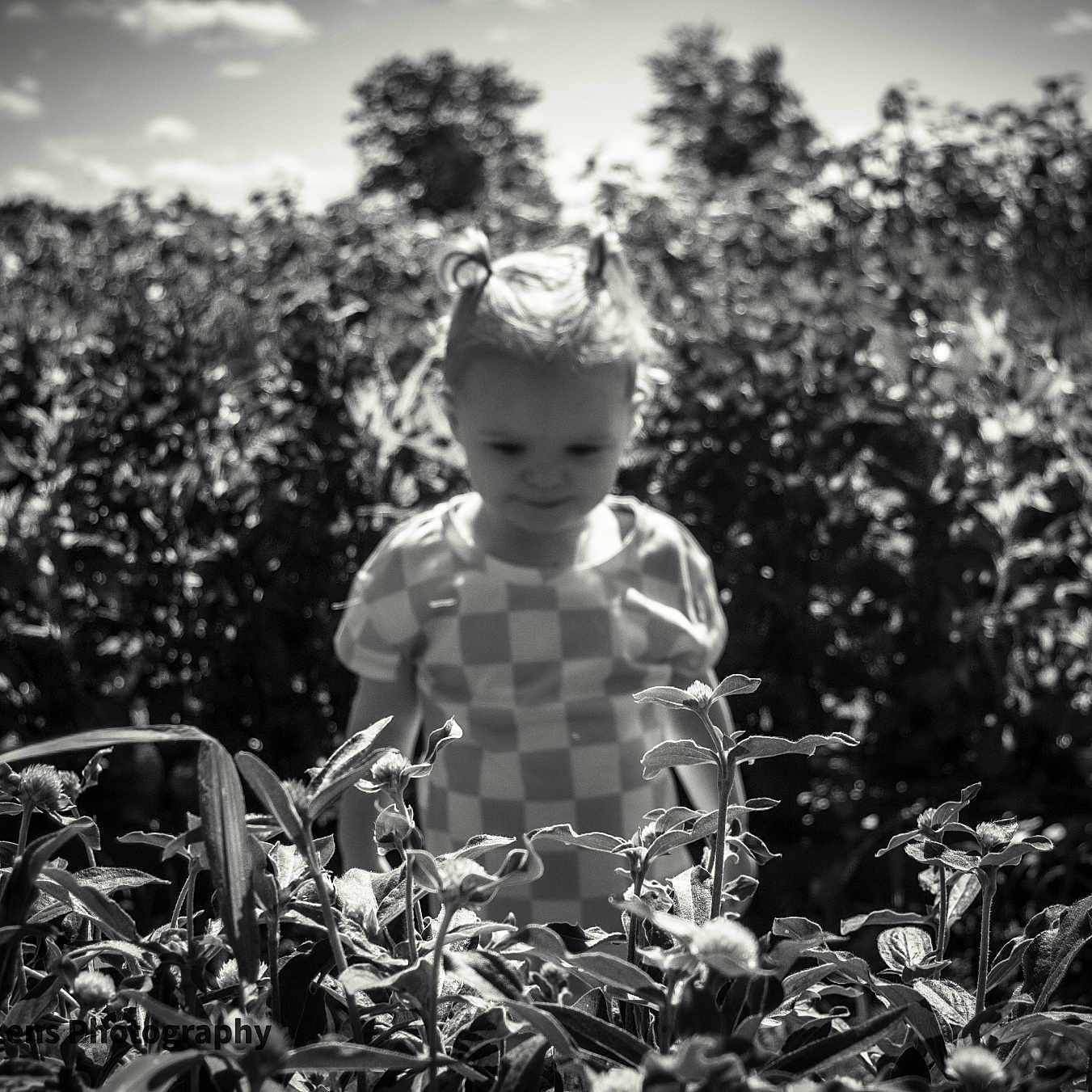 Kenzi is registered to the contest to win money with this photo: baby, face, field, flower, garden, grass, happy, head, herbal, herbs, leaf, nature, outdoors, person, photography, plant, portrait, smile, tree, vegetation