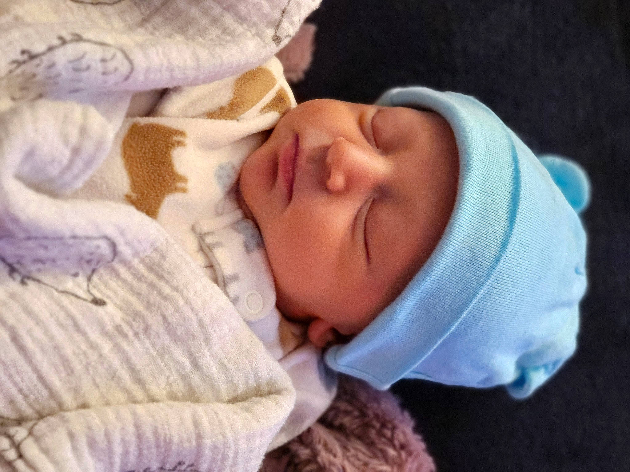 Jasper is registered to the contest to win money with this photo: baby, baby_sleeping, baby_toddler_clothing, bedtime, cheek, child, comfort, eyelash, fur, headgear, headwear, knit_cap, linens, nap, person, portrait_photography, room, skin, sleep, textile