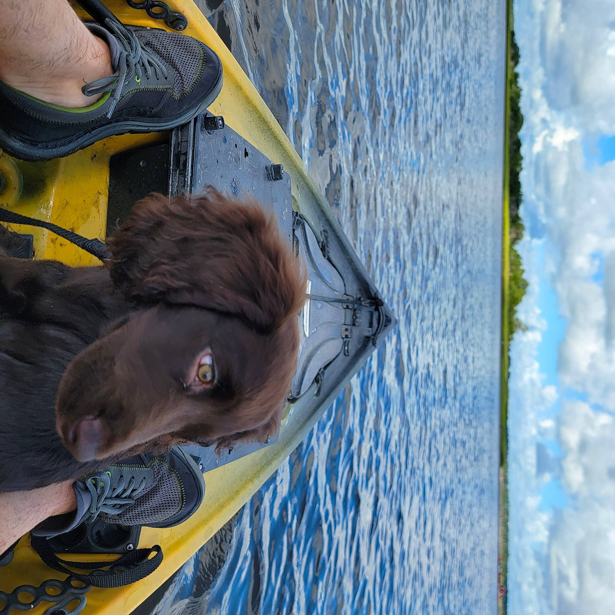 Hank joined the competition — help win amazing prizes! blue, boat, boats_and_boating_equipment_and_supplies, electric_blue, fur, human_leg, lake, liver, outdoor_shoe, recreation, seal, sky, snout, stallion, vehicle, vehicle_door, water, wildlife, wood, working_animal