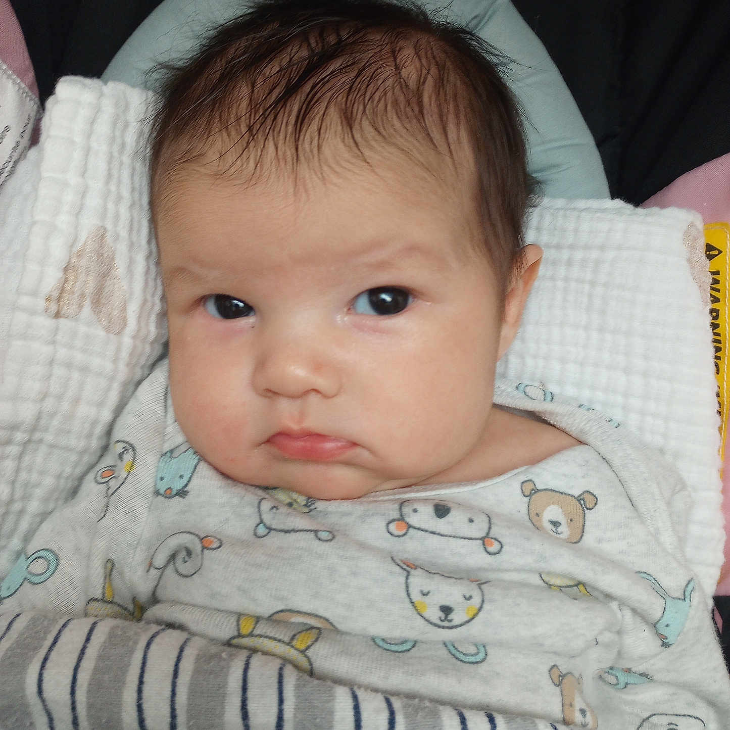 Zarah Lynn is registered to the contest to win money with this photo: baby, blanket, child, clothing, comfort, cute, expression, face, hair, head, indoors, infant, onesie, pattern, person, portrait, skin, sleepwear, warm, young