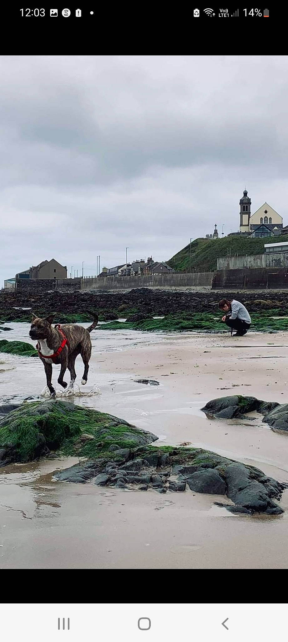 Peev joined the competition — help win amazing prizes! beach, building, city, cloud, coast, coastal_and_oceanic_landforms, horizon, landscape, ocean, pack_animal, rock, sand, sky, tide, tourism, tropics, water, wave, wind_wave, working_animal